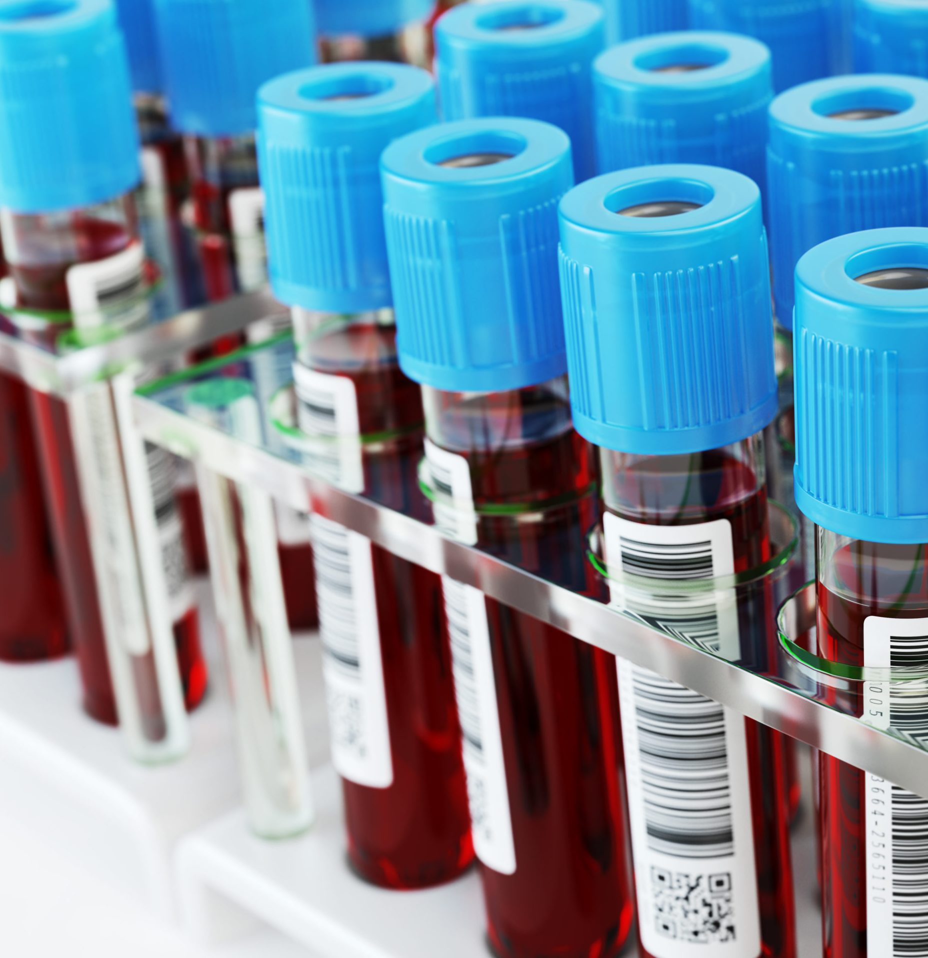 Blood test tubes. Blood samples in a rack. 3d illustration